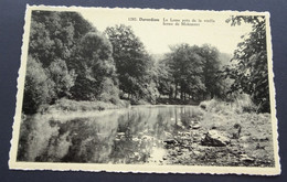 Daverdisse - La Lesse Près De La Vieille Ferme De Mohimont (Edit. "Arduenna" - Hotel Du Moulin, Daverdisse - Daverdisse