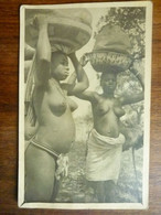 Carte Photo Inédite Non écrite  - Femmes Africaines - Unclassified