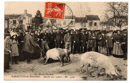 CPA 65 - Rabastens De Bigorre 1913 Marché Aux Cochons - Rabastens De Bigorre