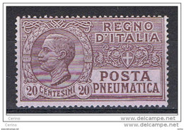 REGNO:  1925  POSTA  PNEUMATICA  -  20 C. VIOLETTO  BRUNO  S.G. -  SASS. 8 - Pneumatic Mail