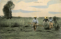 Agriculture * La Vie Et Travail Aux Champs * La Fenaison * Faux Foin - Autres & Non Classés