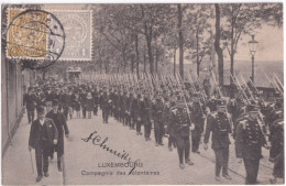 LUXEMBOURG - 1913 - CARTE => TAFORALT (BUREAU FRANCAIS AU MAROC !) - 1907-24 Ecusson