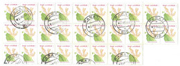 BLOC DE 28 TIMBRES / BRESIL / TRIPLARIS SURINAMENIS / PARATI RIO / 1993 - Used Stamps