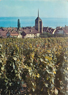 CPSM Dans Les Vignes De St-Blaise       L1304 - Saint-Blaise