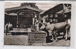 8967 OY - MITTELBERG, Am Dorfbrunnen, Kühe, 196... - Mittelberg