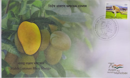 India 2021 Malda Laxman Bhog Mango GI Tag Special Cover Fruit,  Food ,Gastronomy Nature Plant (**) Inde Indien - Cartas & Documentos