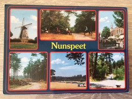 Nederland Nunspeet - Nunspeet