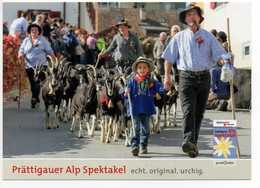 SEEWIS Prättigau Landwirtschaft Alpabzug Bauer Kind Ziegen - Seewis Im Prättigau