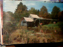USA Blue Ridge Parkway - Mabry Mill - Water Mill MULINO ,MOLINO  VB1959  IO6527 - Newport News