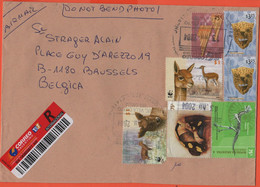 ARGENTINA - 2004 - 7 Stamps - Registered - Medium Envelope - Viaggiata Da Buenos Aires Per Brussels, Belgium - Lettres & Documents