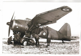 PHOTO AVIATION  AVION  WESTLAND LYSANDER - Luftfahrt