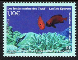 TAAF - 2022 - Seabeds Of The FSAT - Fish And Corals Of Scattered Islands- Mint Stamp - Nuovi