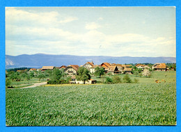 SANG256, Penthéréaz, Gros De Vaud, Près Echallens - Chavornay, 3006, GF, Non Circulée - Chavornay