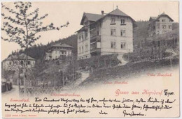 AK Gruß Aus Kipsdorf 1900 (Al04) - Kipsdorf