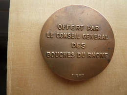 DA-056 Médaille Bronze ( Sur Tranche) Gravée Piery, TYA éditeur ,Brimeur Offerte Par Le Conseil Général Des B.du Rhône - Pétanque