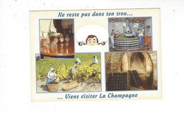 EN CHAMPAGNE   NE RESTE PAS DANS TON TROU   CARTE A TROUS     **      A  SAISIR *** - Champagne-Ardenne