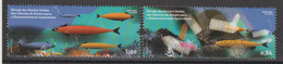 PORTUGAL - CIÊNCIAS DO OCEANO - NOVO - Used Stamps