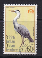 British Indian Territory (BIOT): 1975   Birds   SG69    60c   Used - Territorio Britannico Dell'Oceano Indiano