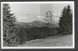 Allemagne, Mittelberg, 1954, Gelaufen - Mittelberg