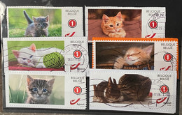 België My Stampt/ Duostamps Katten - Autres & Non Classés