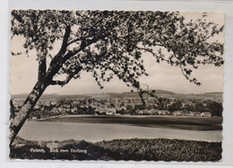 0-8514 PULSNITZ, Blick Vom Eierberg, 1963 - Pulsnitz