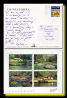 2002 C. Netherlands Niederland Ak Keukenhof Gardens Lisse Posted Amsterdam To Scotland Postcard - Lisse