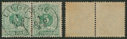 émission 1884 - N°45 En Paire Obl Simple Cercle "Liège" - 1869-1888 Lying Lion