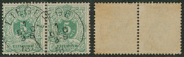 émission 1884 - N°45 En Paire Obl Simple Cercle "Liège" - 1869-1888 Leone Coricato