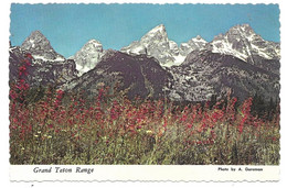 WY - WYOMING  --  YELLOWSTONE - GRAND TETON RANGE - Yellowstone