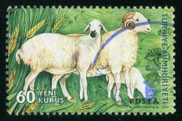 Türkiye 2007 Mi 3593 Sheep (Ovis Ammon Aries), Domestic Farm Animal - Usados