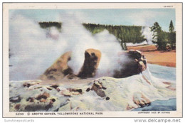 Grotto Geyser Yellowstone National Park Curteich - USA Nationalparks