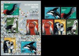 2021 NEW *** TAAF 2021. Antarctic Birds. Complete Set + S/S. MNH France (**) - Nuovi