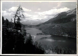 SWITZERLAND - SILVAPLANA - PANORAMA - PROTOTYPE POSTCARD - 1950s - RARE  (12761) - Silvaplana