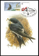 MYSTAMP/DUOSTAMP° - Namur - 15zaine De La Nature 2011 - Delichon Urbica / Hirondelle De Fenêtre / Raamzwaluw - BUZIN - 2011-2014