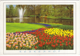 Keukenhof - Lisse - Holland - Lisse