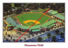 Springfield - Hammons Field - Baseball - Missouri - United States - Springfield – Missouri