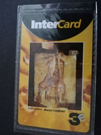 ST MARTIN  INTERCARD  TROIS GIRAFFES            3 EURO /   INTER 197 / MINT CARD    ** 9264 ** - Antilles (Françaises)