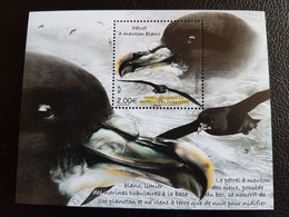 Fsat 2022 Taaf Antarctic Bird Aves Oiseaux PETREL MENTON BLANC Procellaria Ms1v Mnh - Nuovi