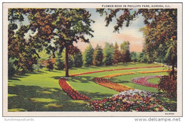 Illinois Aurora Flower Beds In Phillips Park Curteich - Aurora (Ilinois)