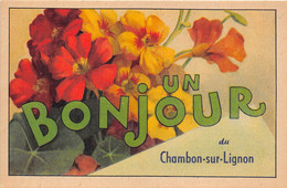 43-LE-CHAMBON-SUR-LIGNON- UN BONJOUR DU CHAMBON SUR LIGNON - Le Chambon-sur-Lignon