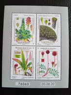 Fsat 2021 Taaf Antarctic Flower Plant Fern Fiori Flora Flore Ms4v Mnh - Neufs