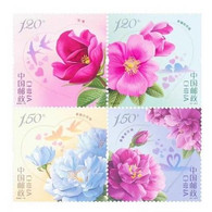 China 2020-10 SET Flower,rose,MNH 4v - Nuevos