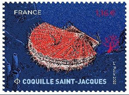 ISSU BLOC COQUILLAGES  YVERT N°5558 - Unused Stamps