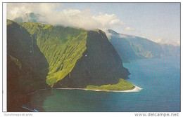 Hawaii Molokai Scene Along North Shore - Molokai