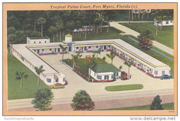 Florida Fort Myers Tropical Palms Court - Fort Myers