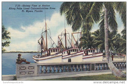 Florida Fort Myers Shrimp Fleet At Anchor Along Caloosahatchee River Curteich - Fort Myers