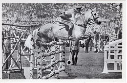 51729 - Deutsches Reich - 1936 - Sommerolympiade Berlin - Belgien, "Ibrahim" Unter Capt. Ganshof Van Der Meersch - Paardensport