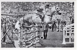 51729 - Deutsches Reich - 1936 - Sommerolympiade Berlin - Belgien, "Ibrahim" Unter Capt. Ganshof Van Der Meersch - Reitsport