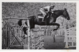51732 - Deutsches Reich - 1936 - Sommerolympiade Berlin - Italien, "Torno" Unter Capt. Bonivento - Horse Show