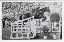 51733 - Deutsches Reich - 1936 - Sommerolympiade Berlin - USA, "Don" Unter Major Bradford - Paardensport